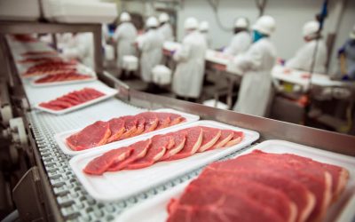 linea di produzione carne in azienda alimentare